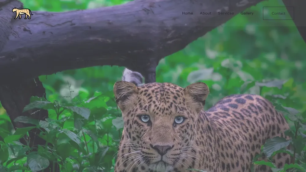 Jhalana Leopard Safari — product screenshot